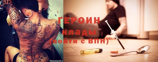 прущие грибы Аркадак