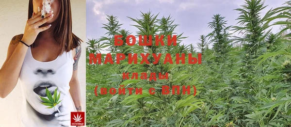 ALPHA PVP Рославль