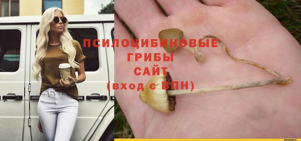 ECSTASY Арсеньев