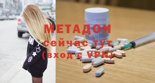 прущие грибы Аркадак