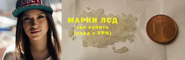 прущие грибы Аркадак