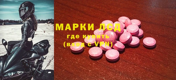прущие грибы Аркадак