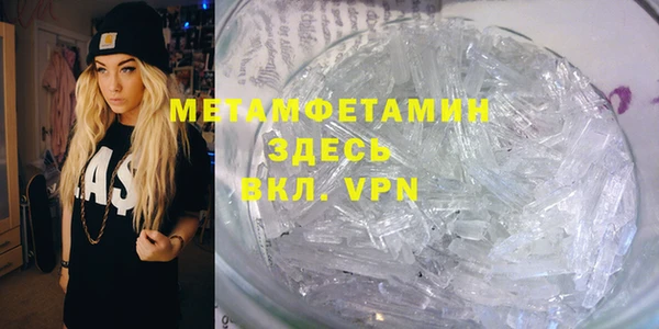 прущие грибы Аркадак